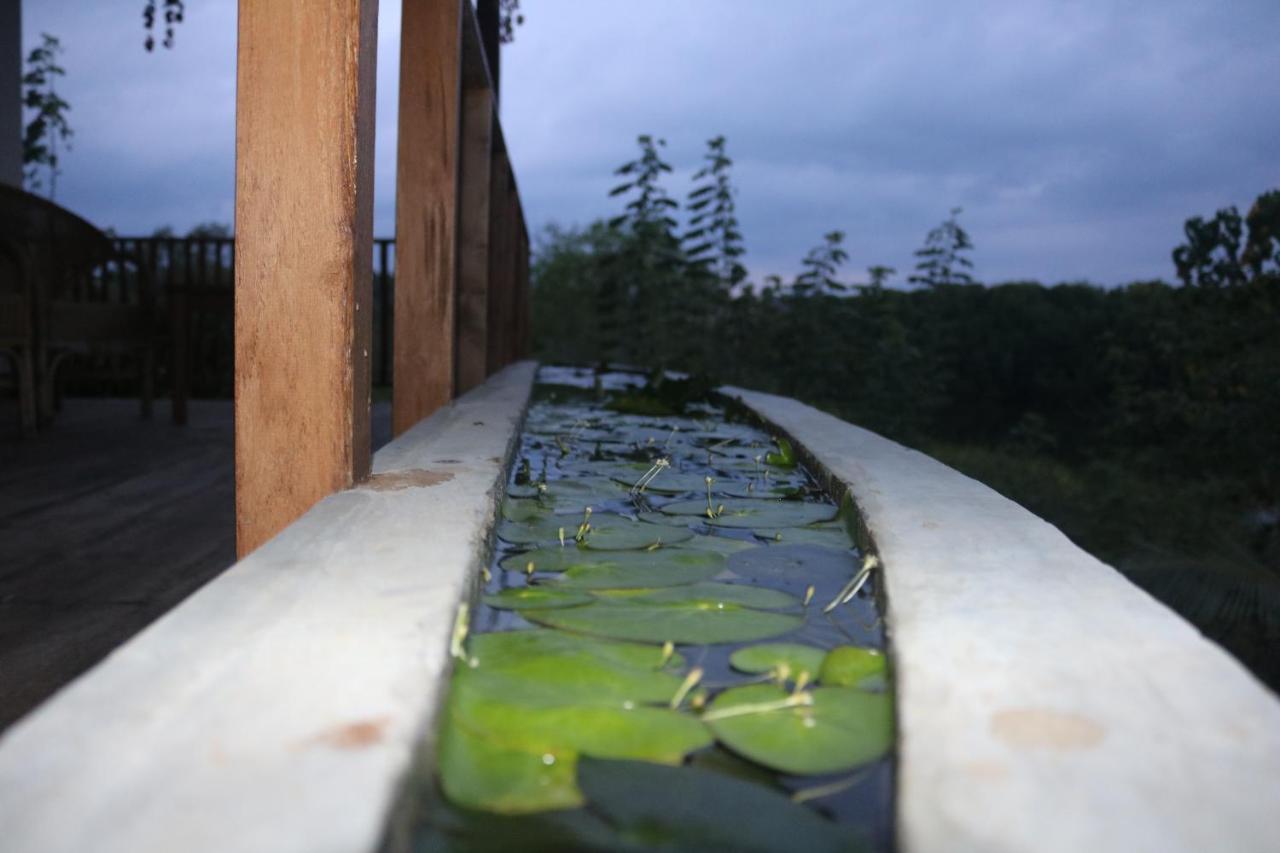 Coconut Island Villa Tangalle Exterior photo